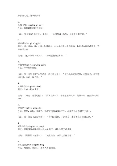 形容男人高大帅气的成语