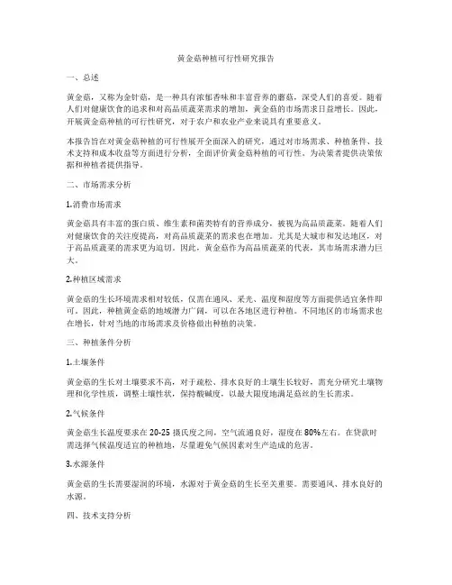 黄金菇种植可行性研究报告