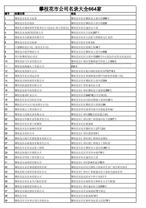 攀枝花市公司名录大全664家