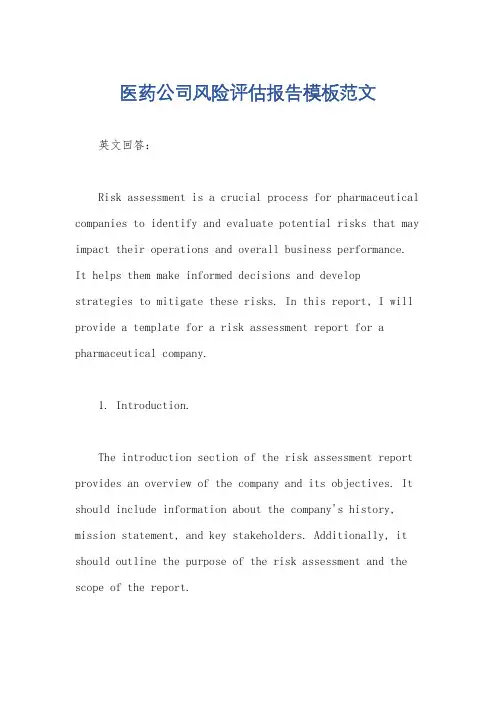 医药公司风险评估报告模板范文