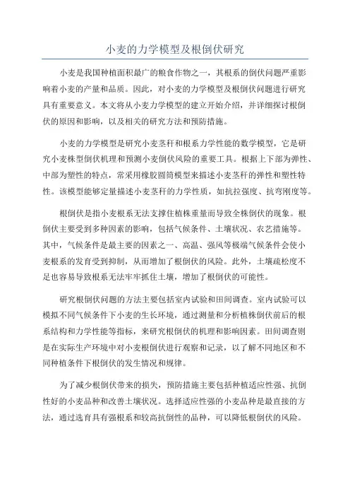 小麦的力学模型及根倒伏研究