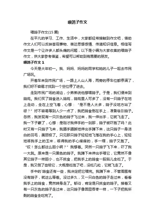 喂鸽子作文