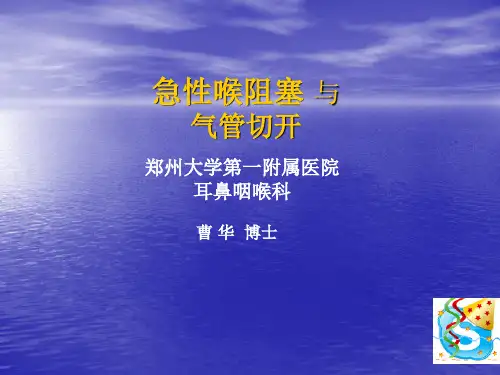 喉阻塞__幻灯