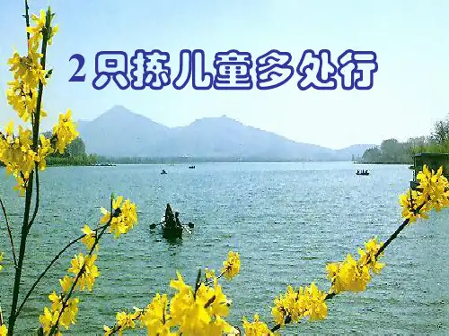 2只拣儿童多处行 (2)