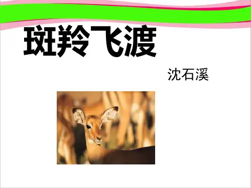 语文：《斑羚飞渡》课件(人教版七年级下册) 公开课获奖课件