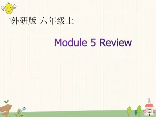外研版英语(一起)六年级上册  Module 5 模块知识点复习