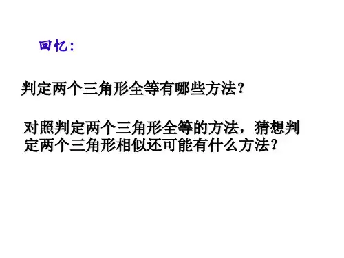 八年级数学探索三角形相似的条件4(PPT)3-3