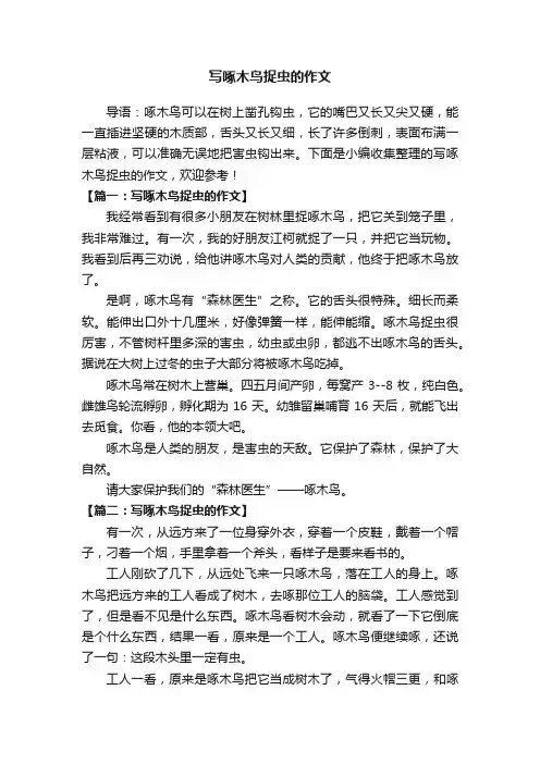 写啄木鸟捉虫的作文