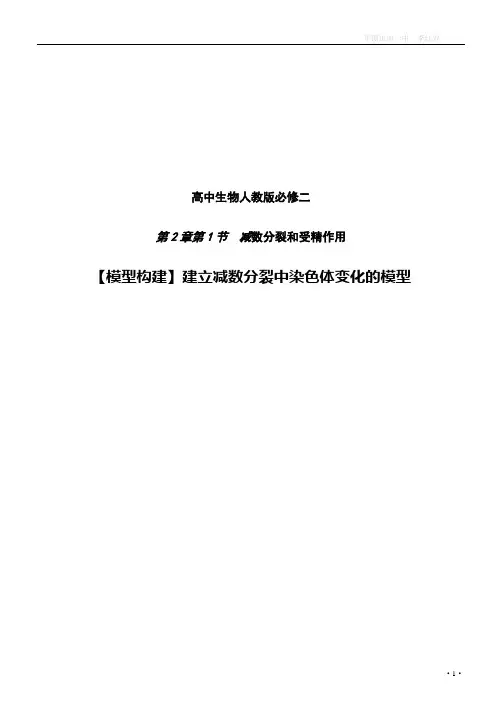 建立减数分裂中染色体变化的模型(教学设计)