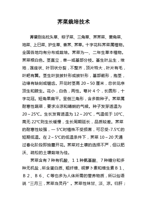 荠菜栽培技术