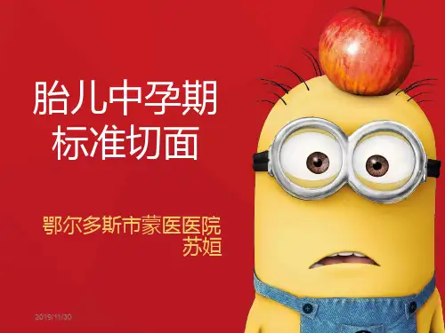 胎儿中孕标准切面PPT课件
