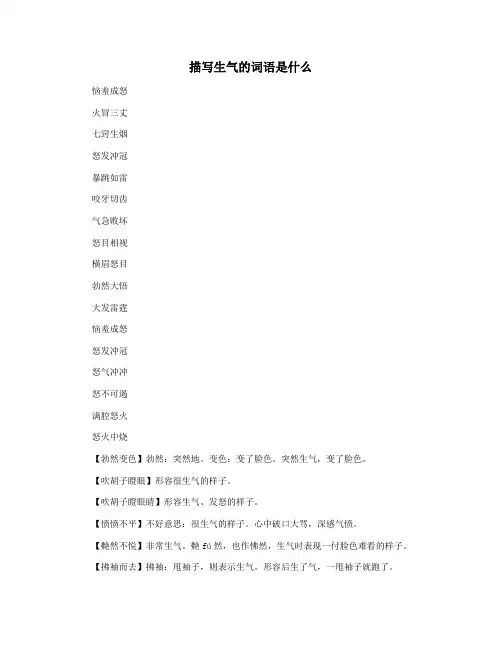 描写生气的词语是什么
