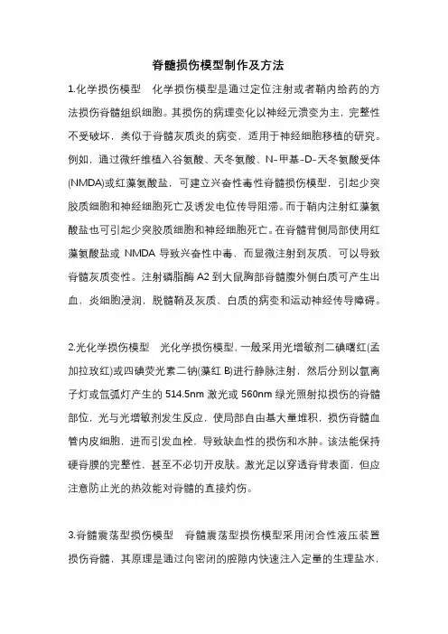 脊髓损伤模型制作及方法