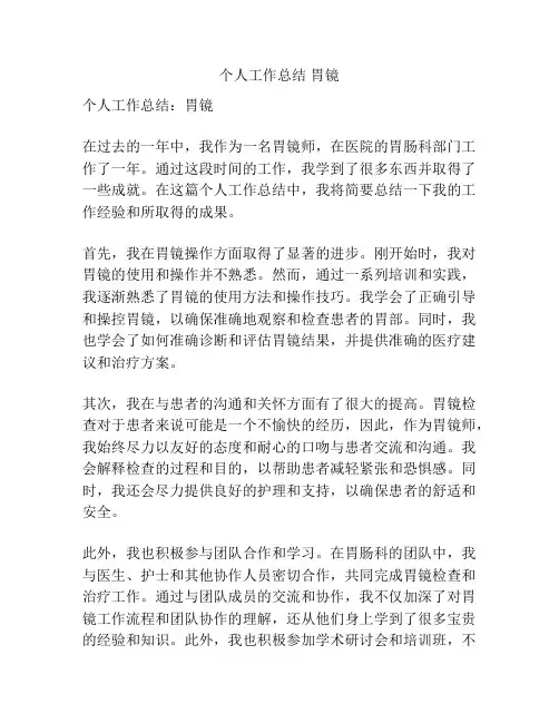 个人工作总结 胃镜