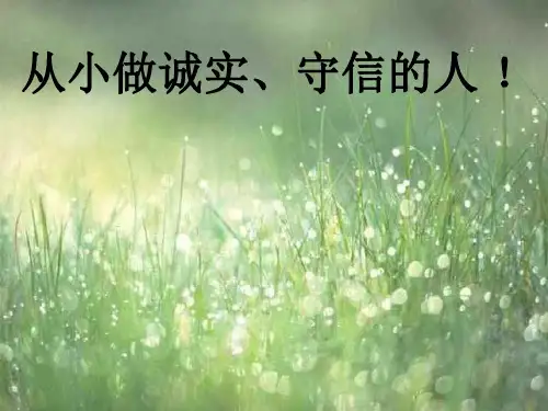 做一个诚实守信的人PPT课件