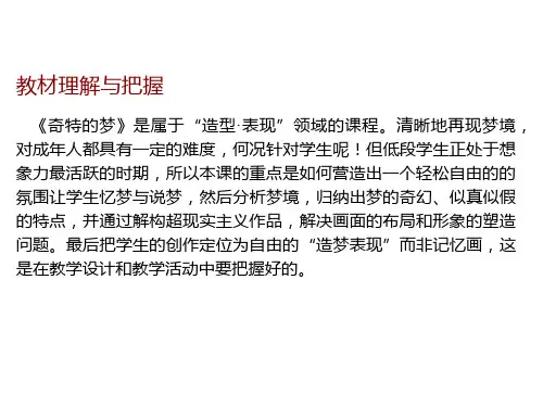 14 奇特的梦课件