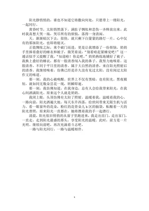 最新一路与阳光同行作文