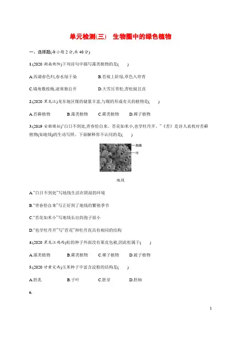 人教版七年级上册生物单元检测(三)：生物圈中的绿色植物【有答案】