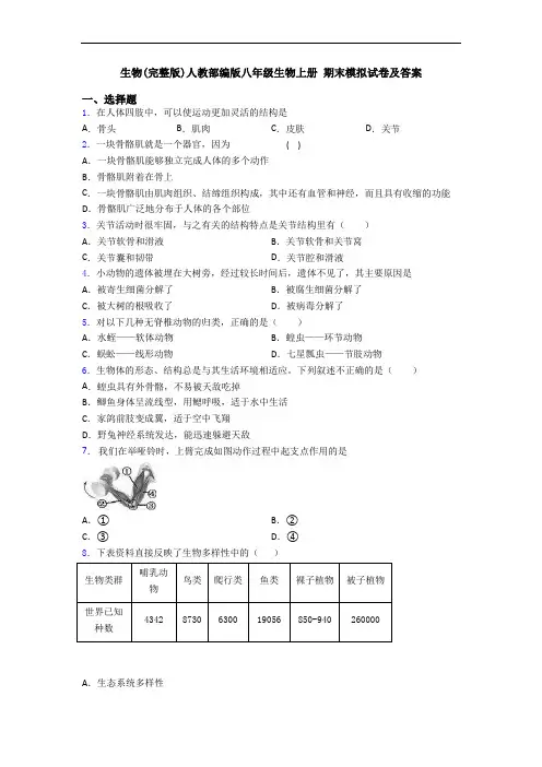 生物(完整版)人教部编版八年级生物上册 期末模拟试卷及答案