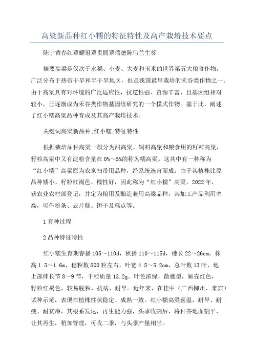 高粱新品种红小糯的特征特性及高产栽培技术要点