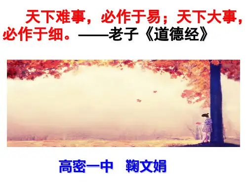 鉴赏文章的语言特色 (实用版)