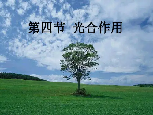 光合作用1教学课件2021届高三高考生物一轮复习