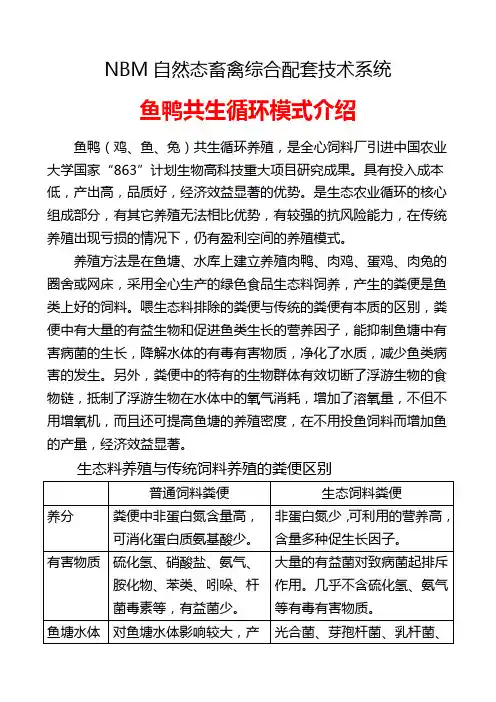 NBM技术——养殖循环模式