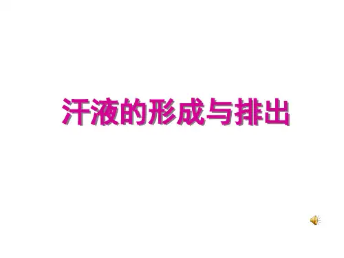 济南版七下3.4.2汗液的形成和排出(共12张PPT)