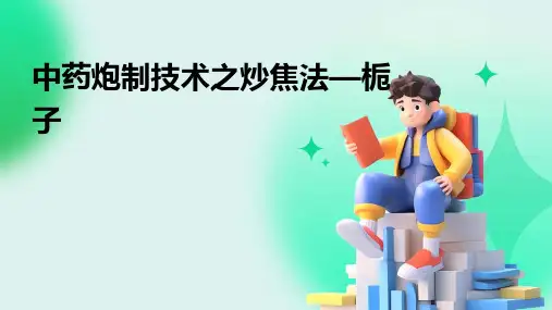 中药炮制技术之炒焦法—栀子