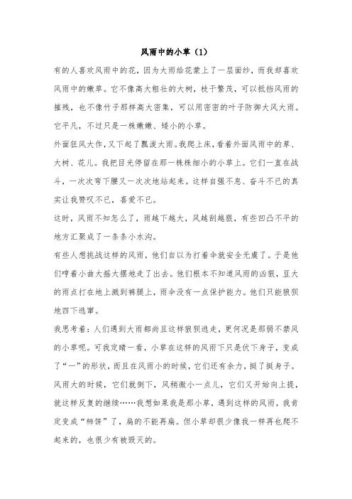 风中的小草作文400字