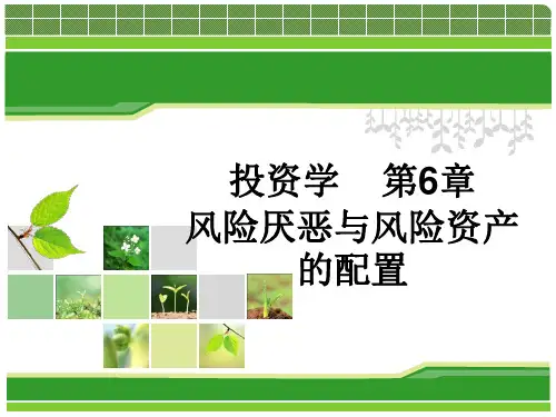 风险厌恶与风险资产的配置概论课件