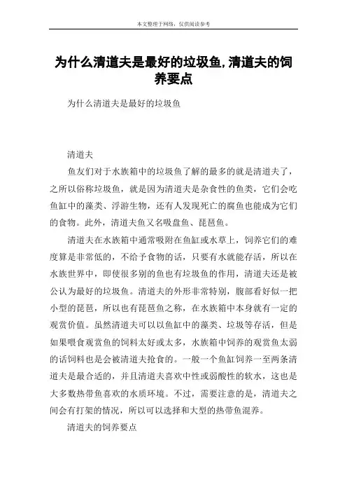 为什么清道夫是最好的垃圾鱼,清道夫的饲养要点