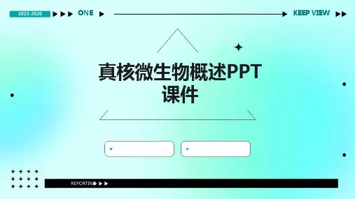 真核微生物概述PPT课件(2024)