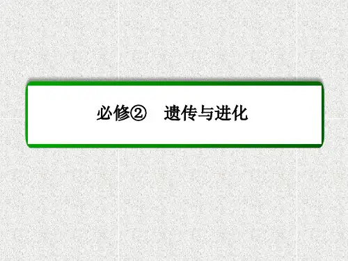 2019届高考生物人教版通用总复习教学课件：第17讲基因在染色体上和伴性遗传.ppt
