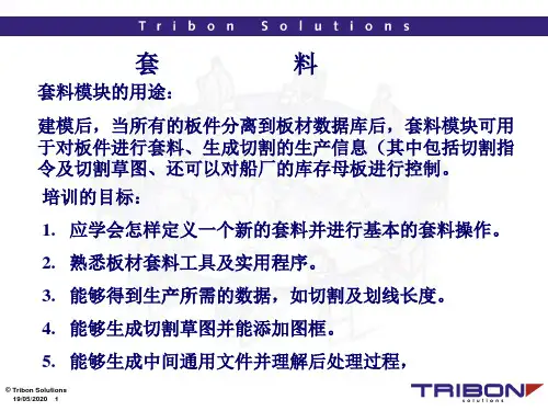 船舶设计软件 TRIBON  nesting船体套料讲解