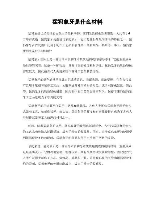 猛犸象牙是什么材料