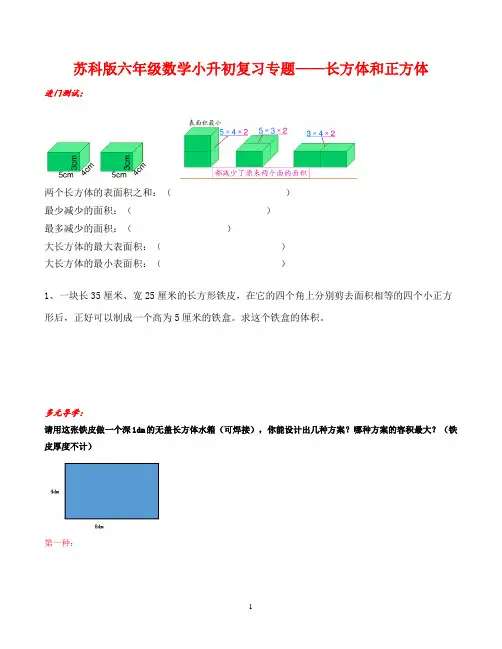 六年级下册数学试题小升初复习专题——长方体和正方体无答案苏教版
