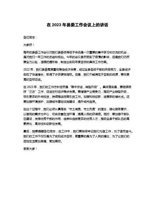 在2023年县委工作会议上的讲话