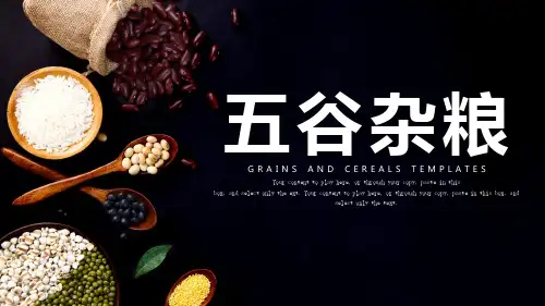 农业科技农产品农作物五谷杂粮PPT模板