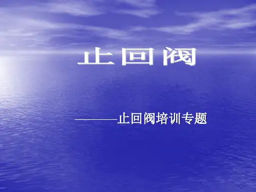 《止回阀》 培训专题