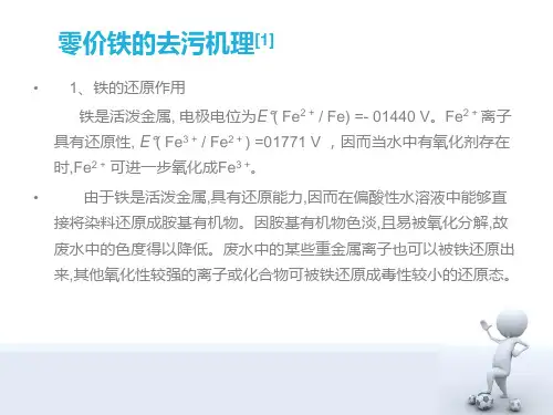 零价铁去除污染物机理