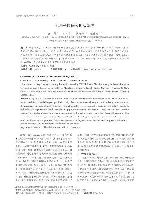 无患子属研究现状综述