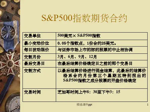 《衍生金融工具概述》PPT课件