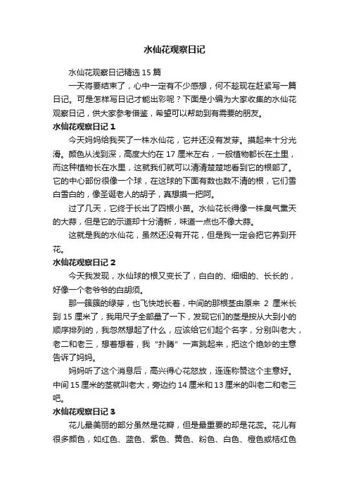 水仙花观察日记