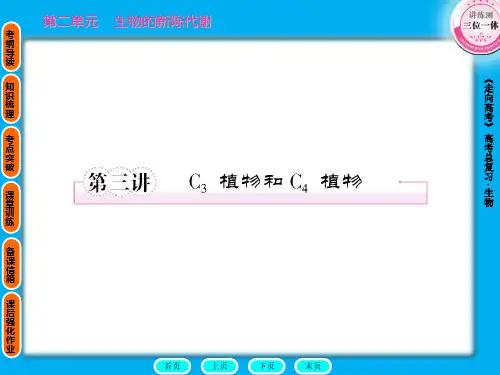 2019年高考生物第一轮总复习2-3