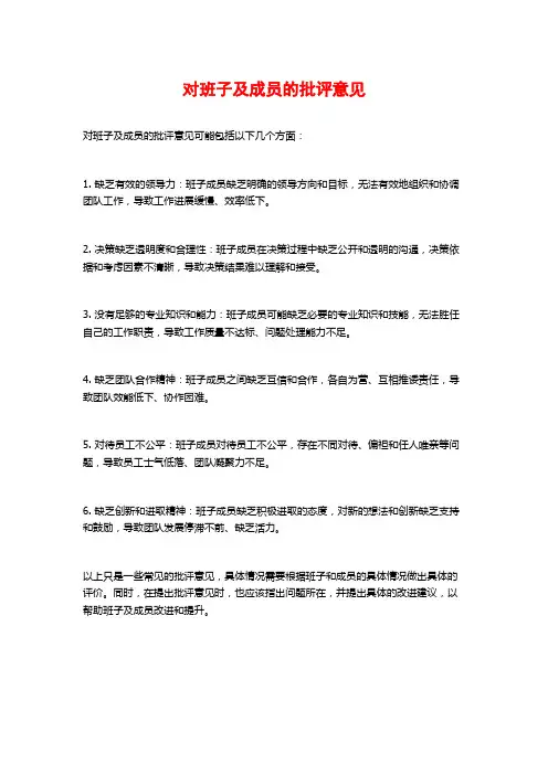 对班子及成员的批评意见