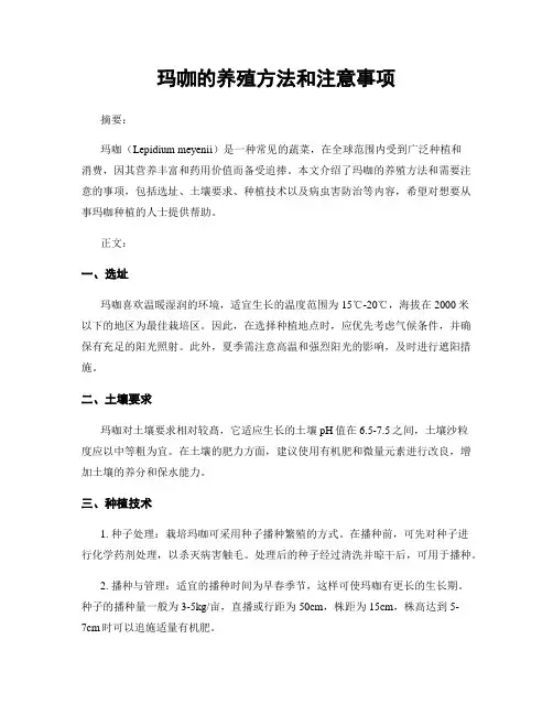 玛咖的养殖方法和注意事项