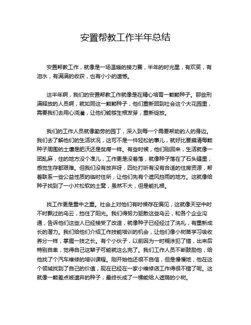 安置帮教工作半年总结