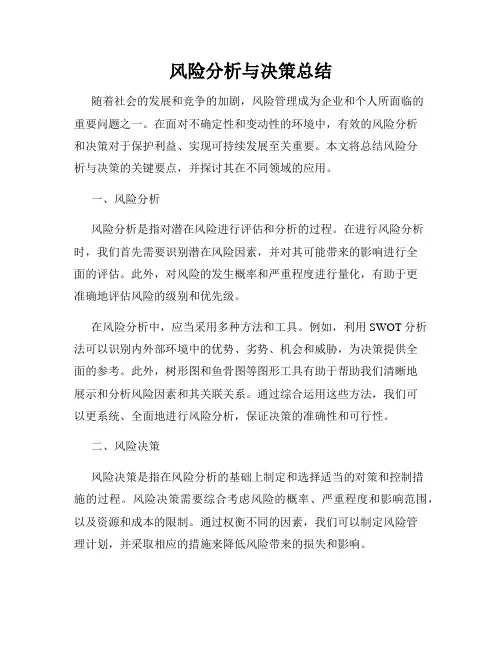 风险分析与决策总结