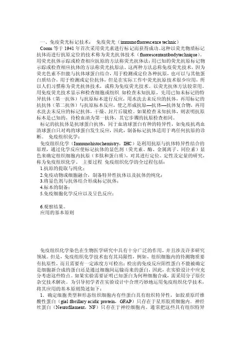 免疫荧光染色